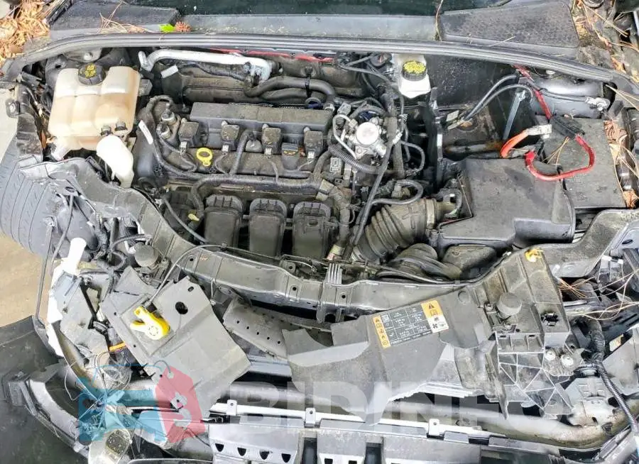 1FADP3K2XJL285308 Photo# 11