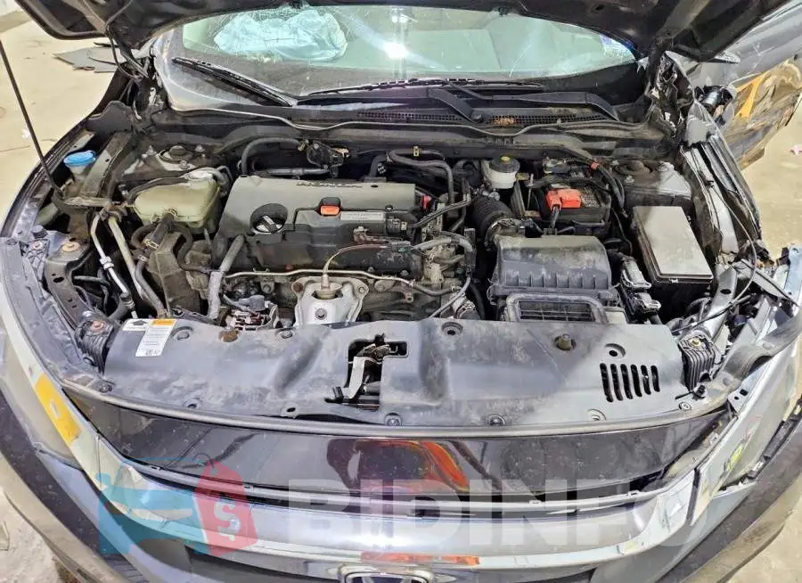 19XFC2F73HE225159 Photo# 11