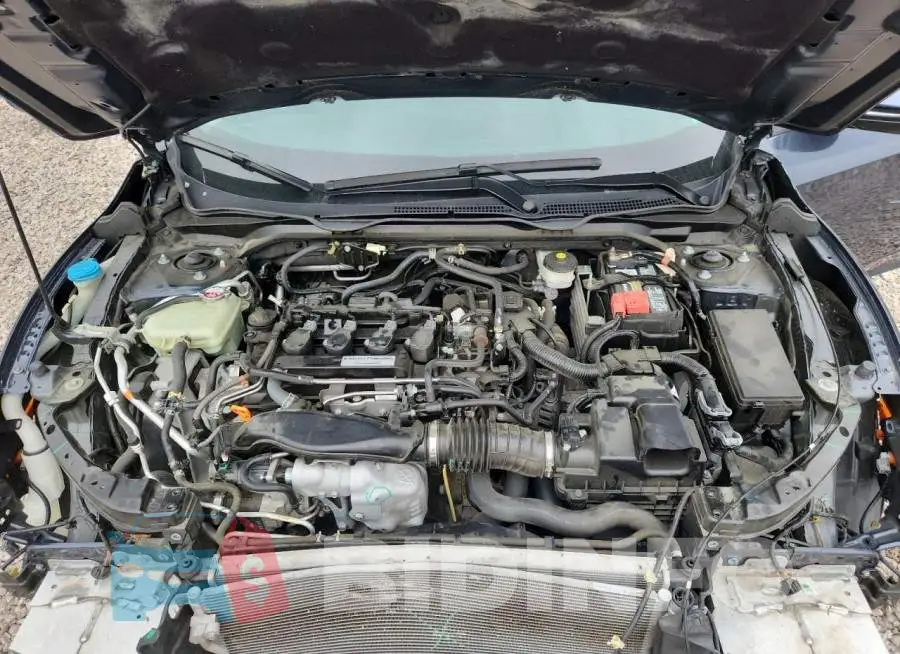 19XFC1F94HE021465 Photo# 11