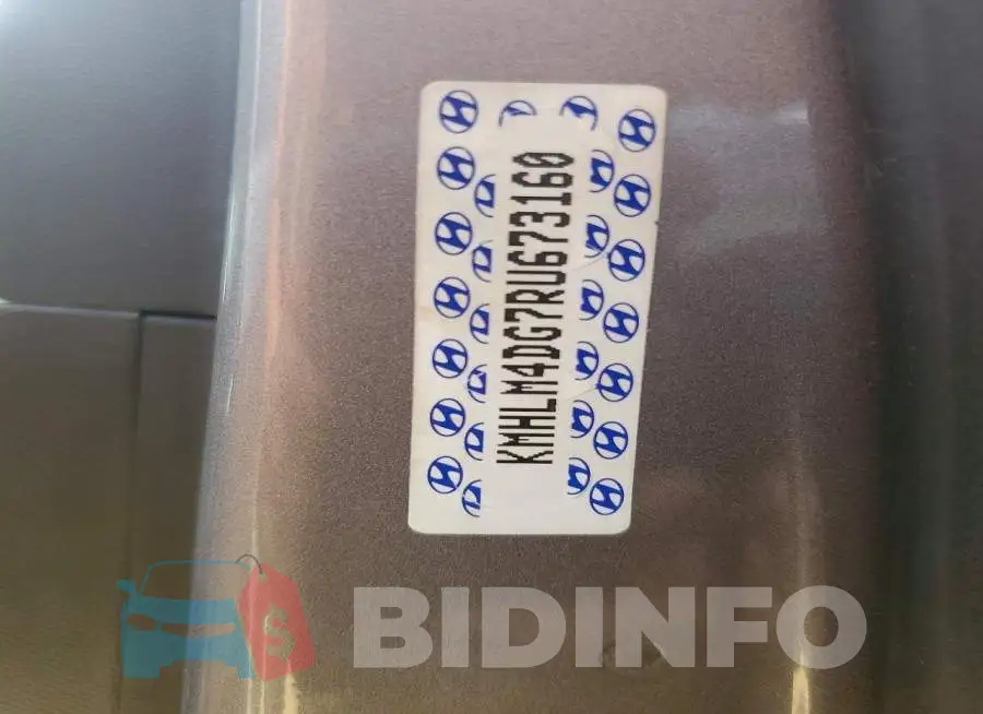 KMHLM4DG7RU673160 Photo# 12