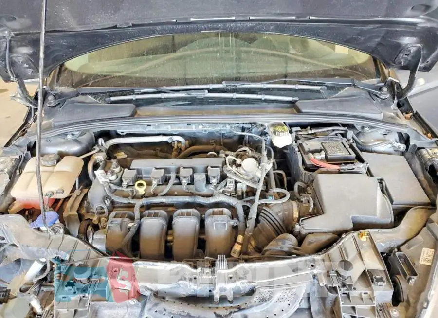 1FADP3F24JL269809 Photo# 11