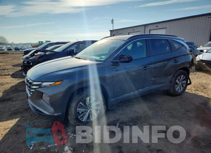 KM8JBCD13RU206241 Photo# 1
