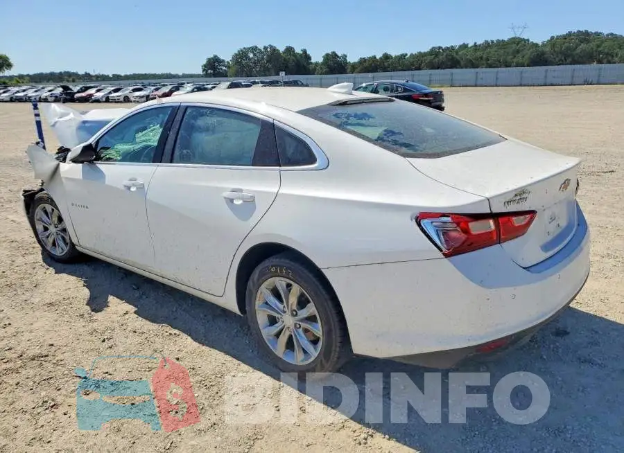 1G1ZD5ST9RF227433 Photo# 2