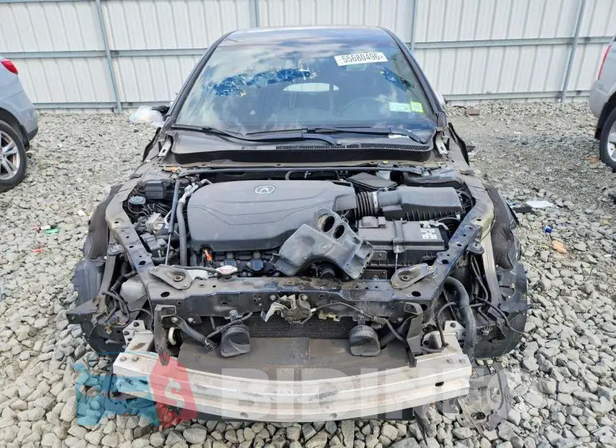 19UUB2F68KA000054 Photo# 5