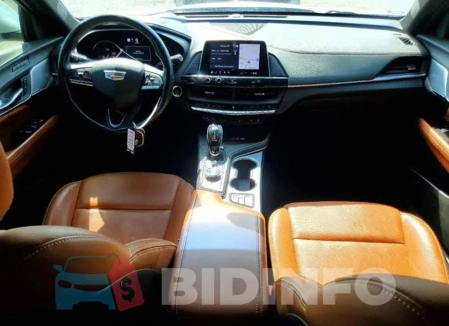 1G6DB5RL6L0131611 Photo# 8