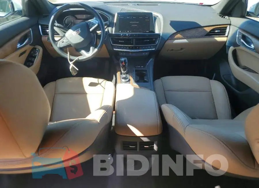 1G6DN5RK3M0113986 Photo# 8