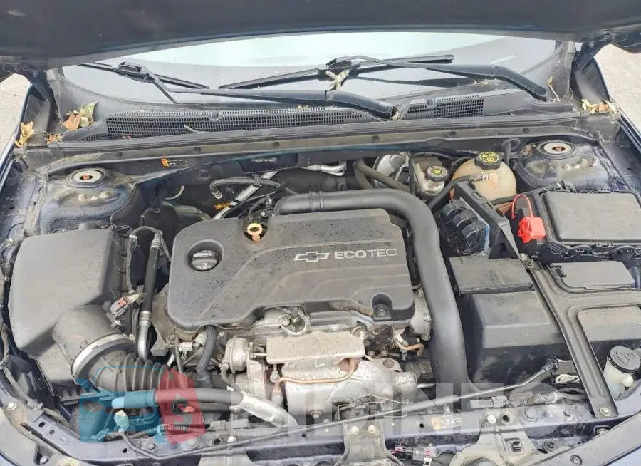 1G1ZB5ST4HF127244 Photo# 11