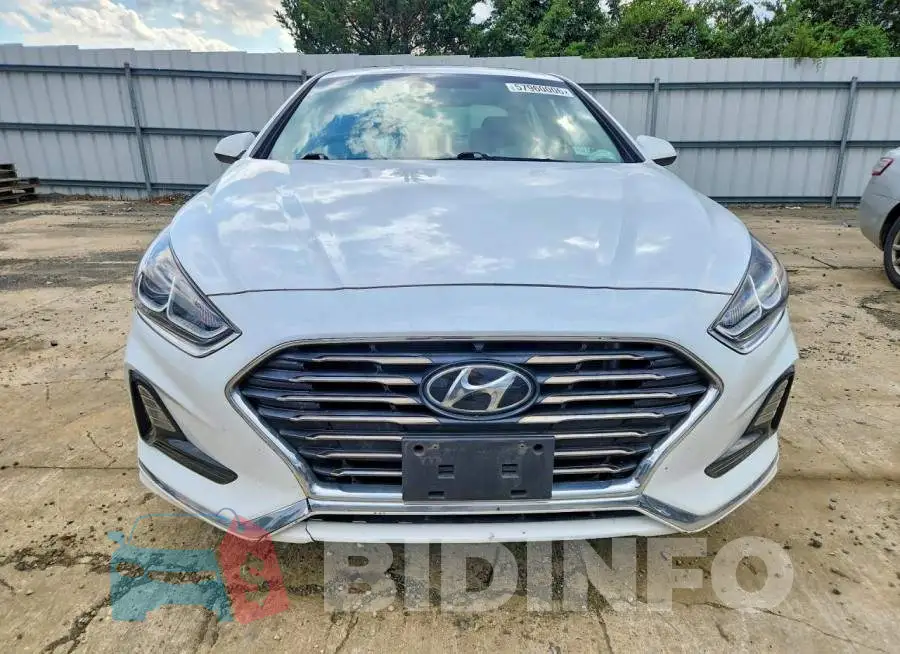 5NPE24AF7KH801041 Photo# 5