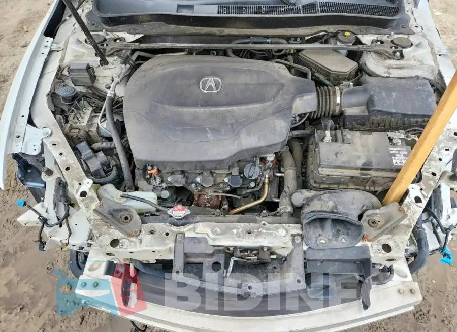 19UUB3F55HA000695 Photo# 11