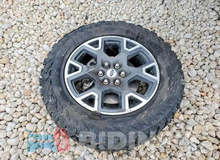 1FTEW2LPXSKD60313 Photo# 12