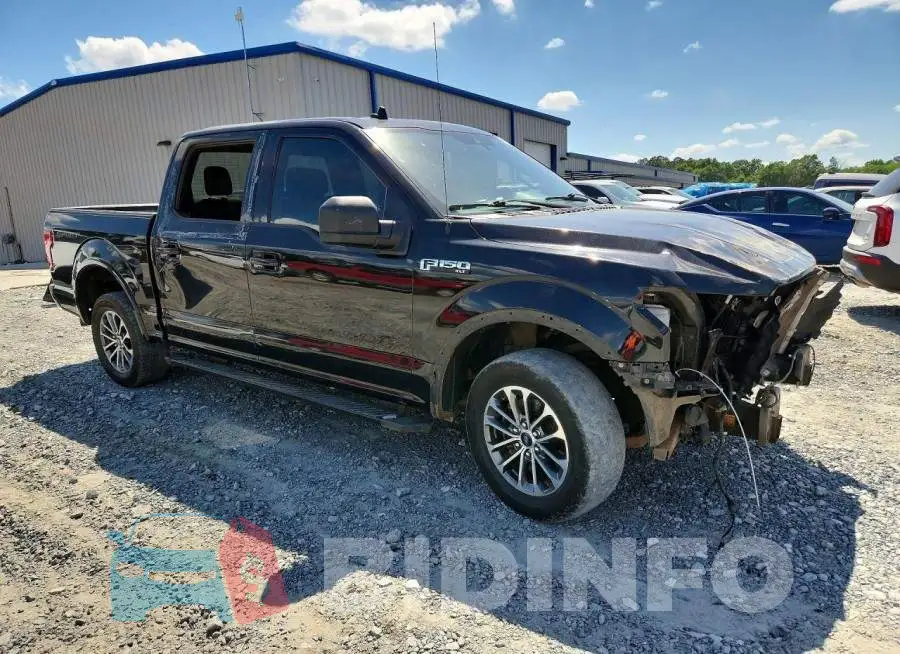 1FTEW1C58LFA81672 Photo# 4