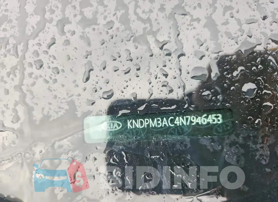 KNDPM3AC4N7946453 Photo# 13