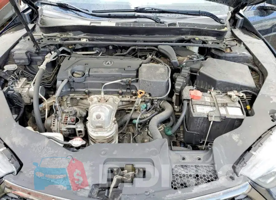 19UUB1F66KA801043 Photo# 11