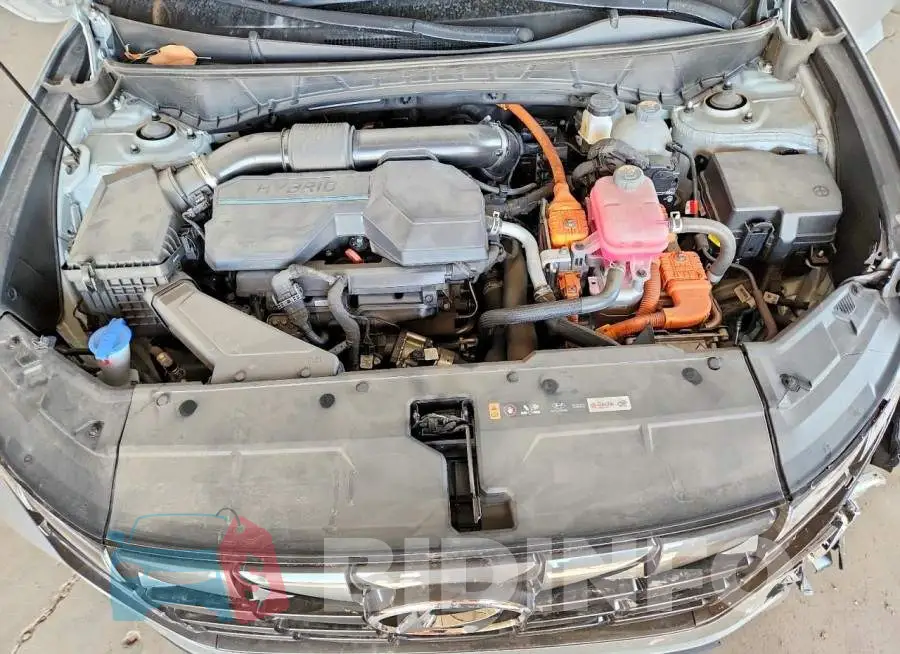 KM8JCCD13RU161668 Photo# 12