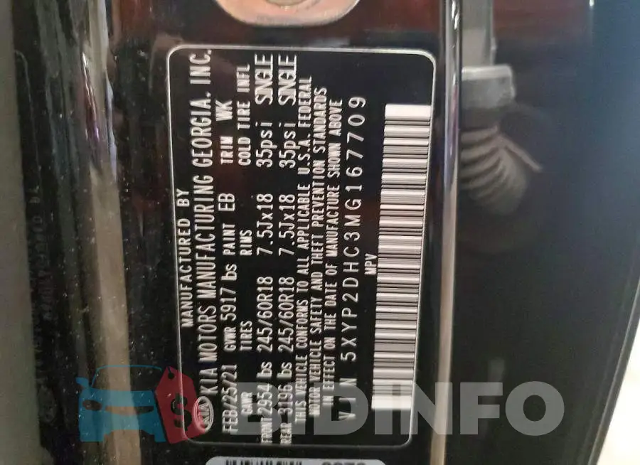 5XYP2DHC3MG167709 Photo# 13