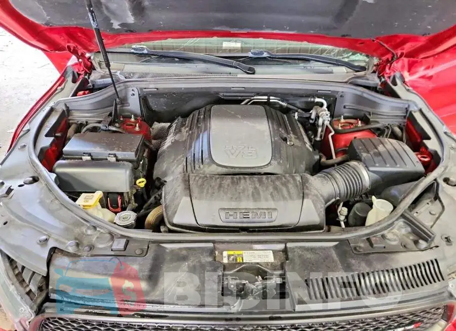 1C4SDJCT5KC722834 Photo# 12