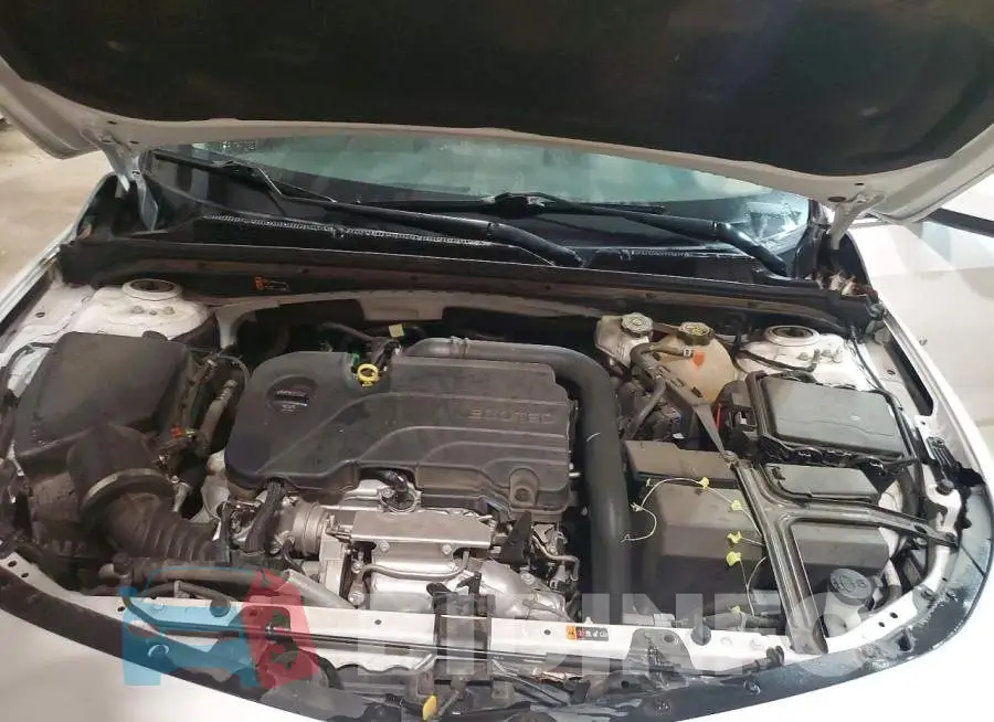 1G1ZD5ST9PF190204 Photo# 11