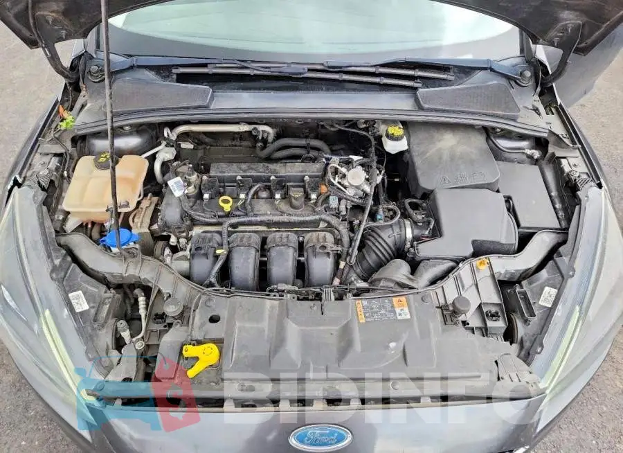 1FADP3M23JL261946 Photo# 11
