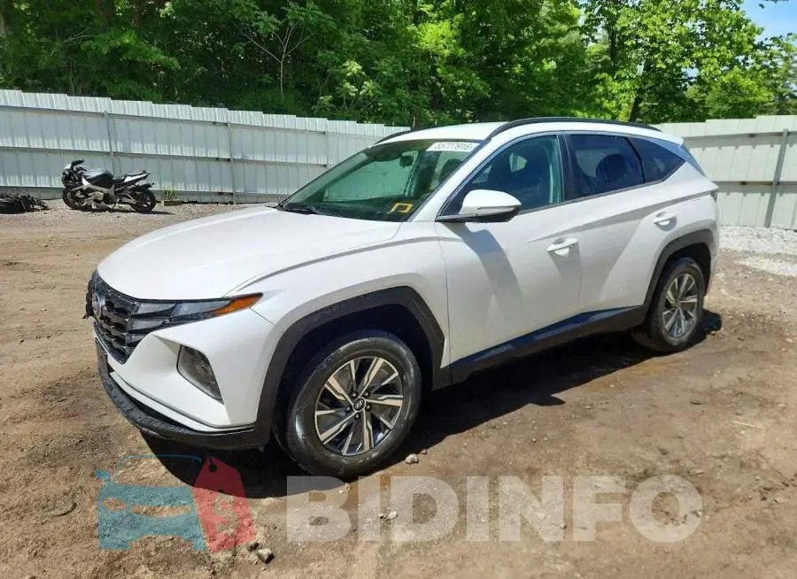 KM8JBCA15NU016777 Photo# 1
