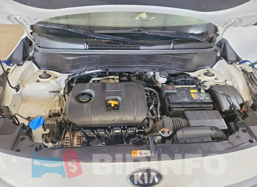 KNDERCAA3M7071422 Photo# 12
