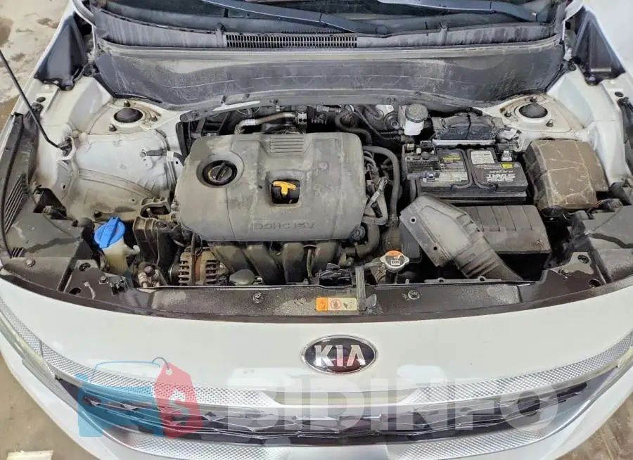KNDERCAA3M7167227 Photo# 11