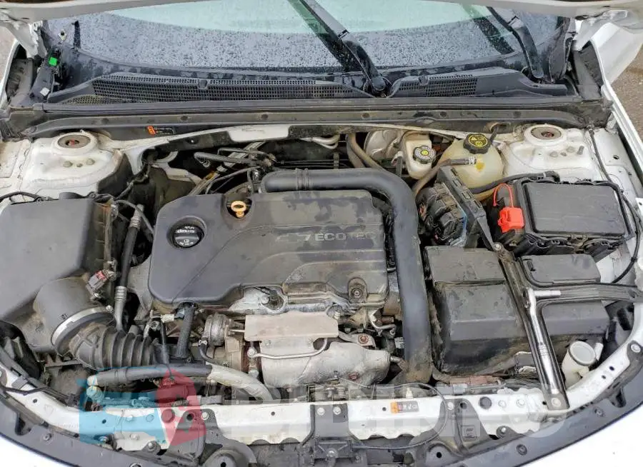 1G1ZB5ST2HF118400 Photo# 11