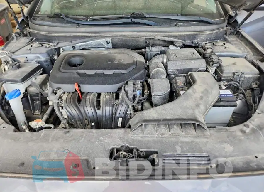 5NPE24AFXKH776636 Photo# 11