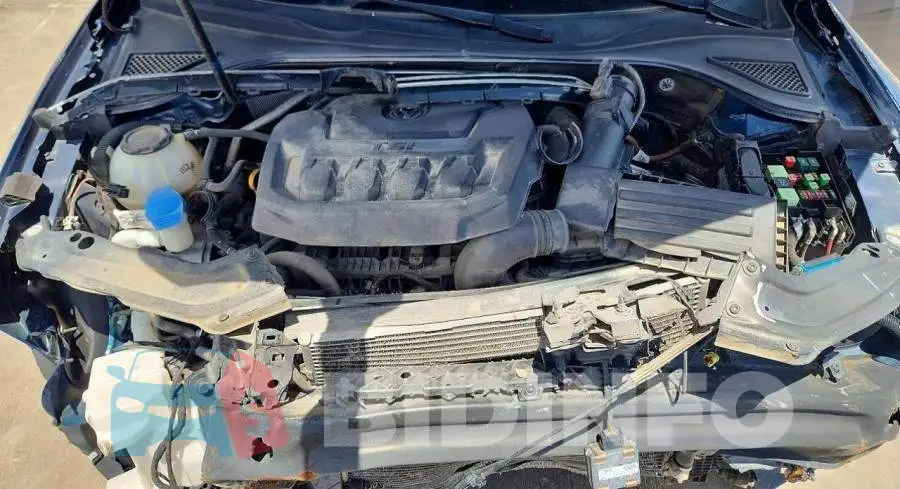 1VWLA7A38KC014254 Photo# 11
