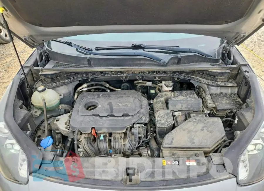 KNDPM3AC9L7635355 Photo# 12