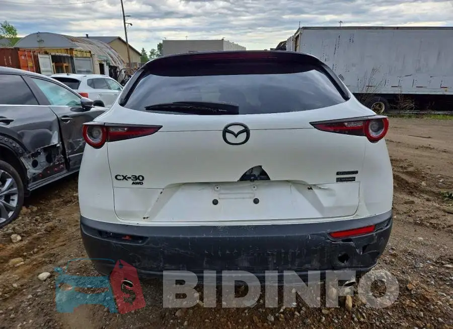 3MVDMBCL6MM240257 Photo# 6