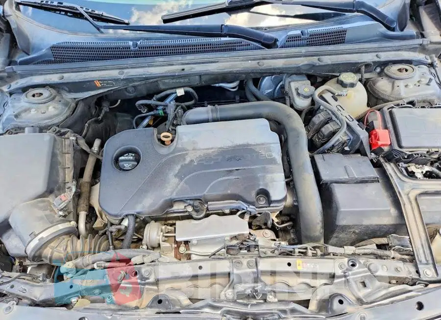 1G1ZD5ST5JF148278 Photo# 11