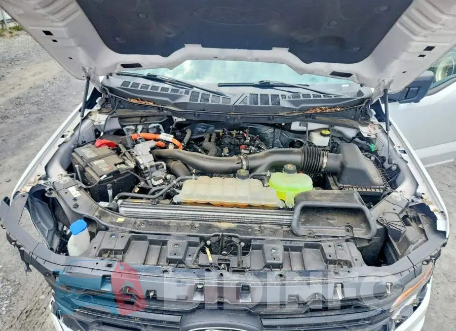 1FTFW3LD1RFA49436 Photo# 11