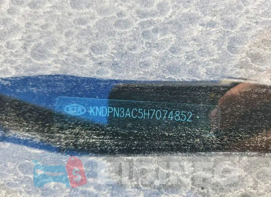 KNDPN3AC5H7074852 Photo# 13