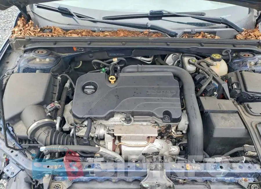 1G1ZD5ST2KF151219 Photo# 11
