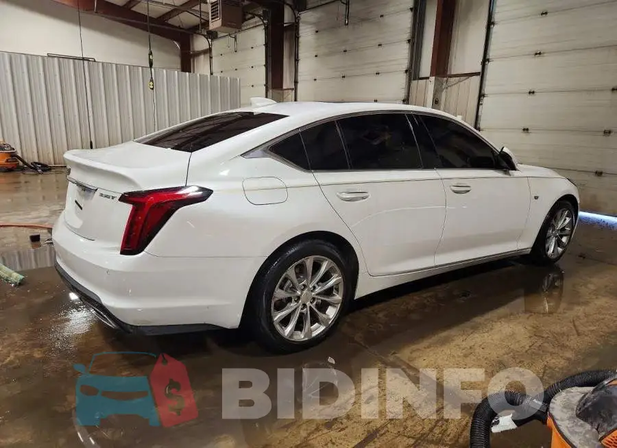 1G6DN5RK8N0136908 Photo# 3