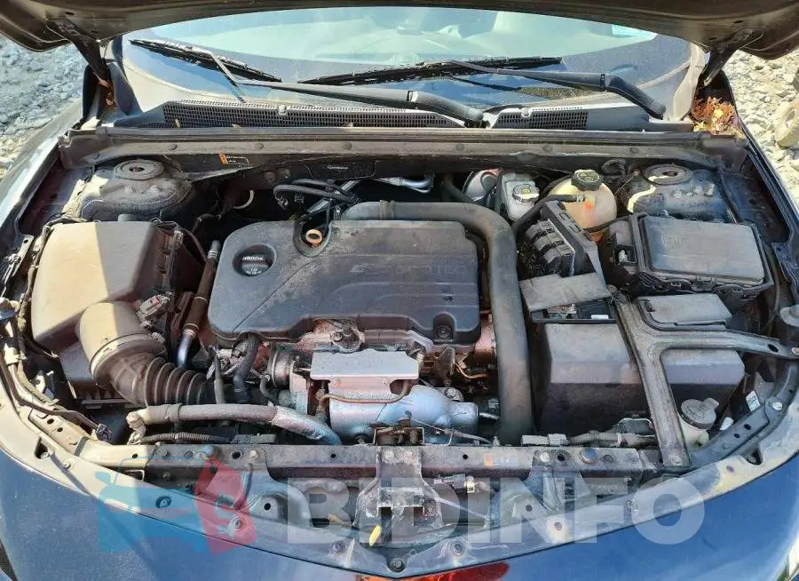 1G1ZE5ST3HF161151 Photo# 11