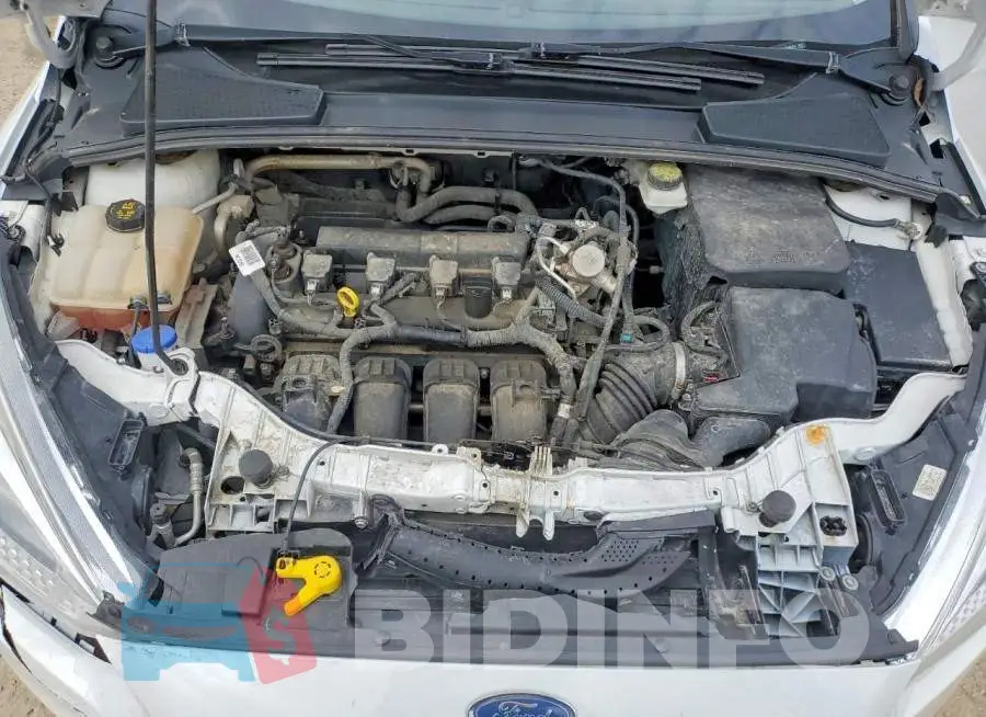 1FADP3F23HL239629 Photo# 11