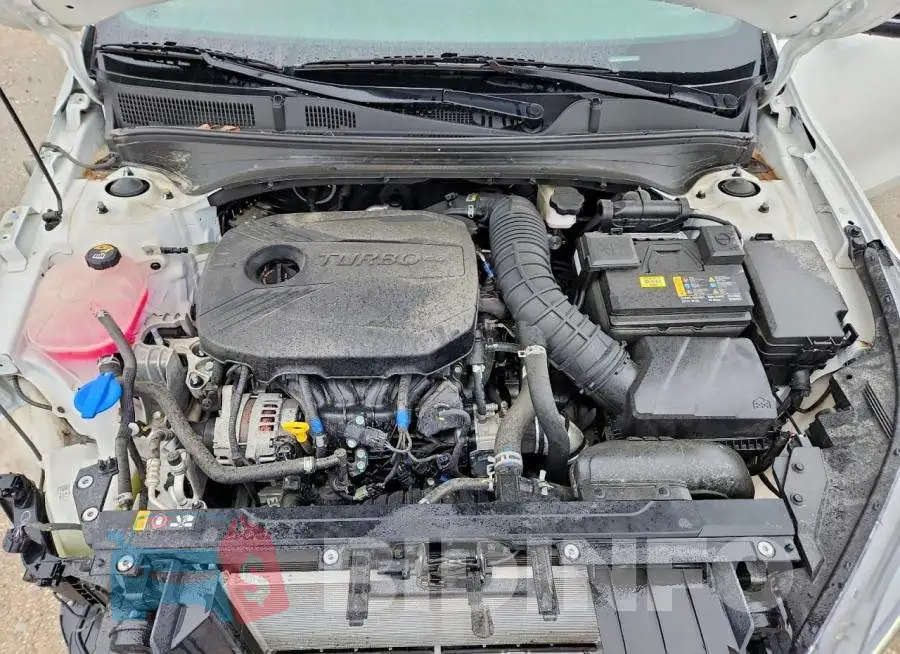 3KPF44AC5RE693053 Photo# 11