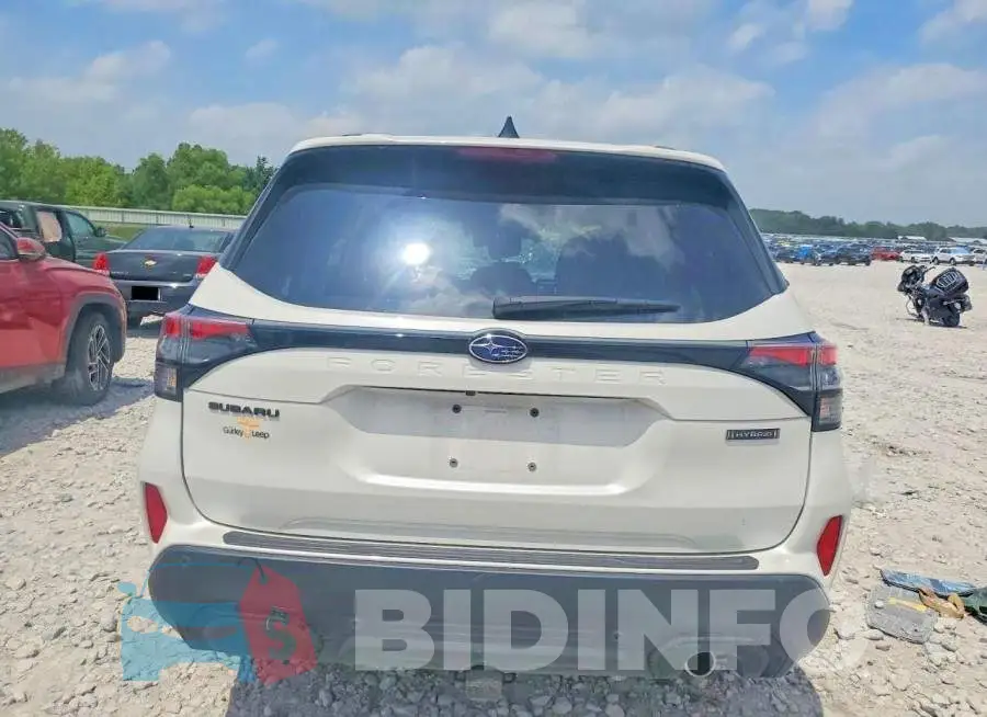 JF2SLSTD1SH420155 Photo# 6
