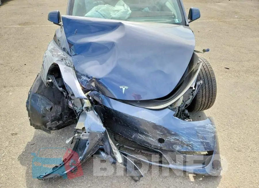 7SAYGDEE7PF699331 Photo# 12