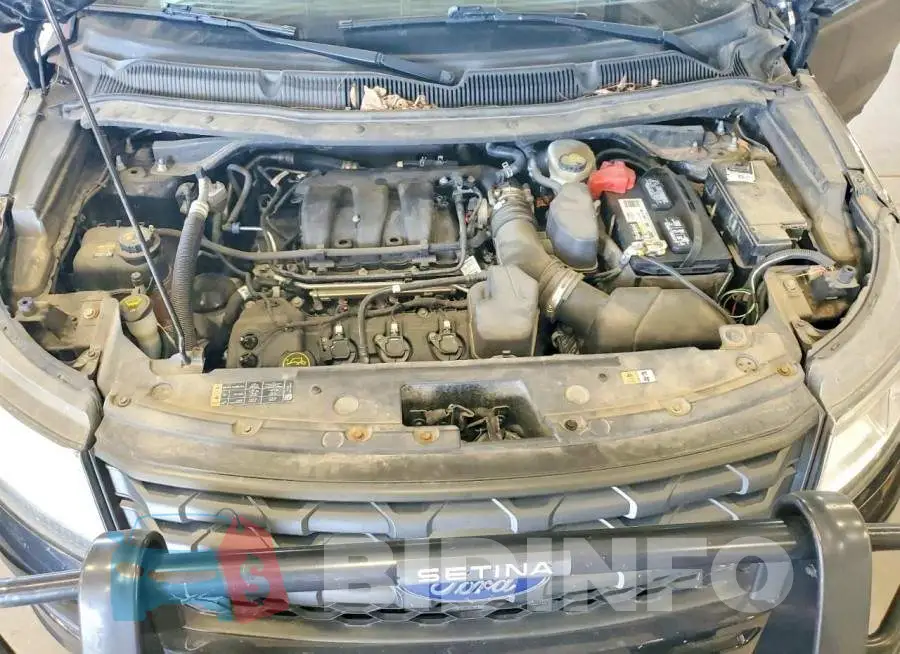 1FM5K8AR5HGA62875 Photo# 12