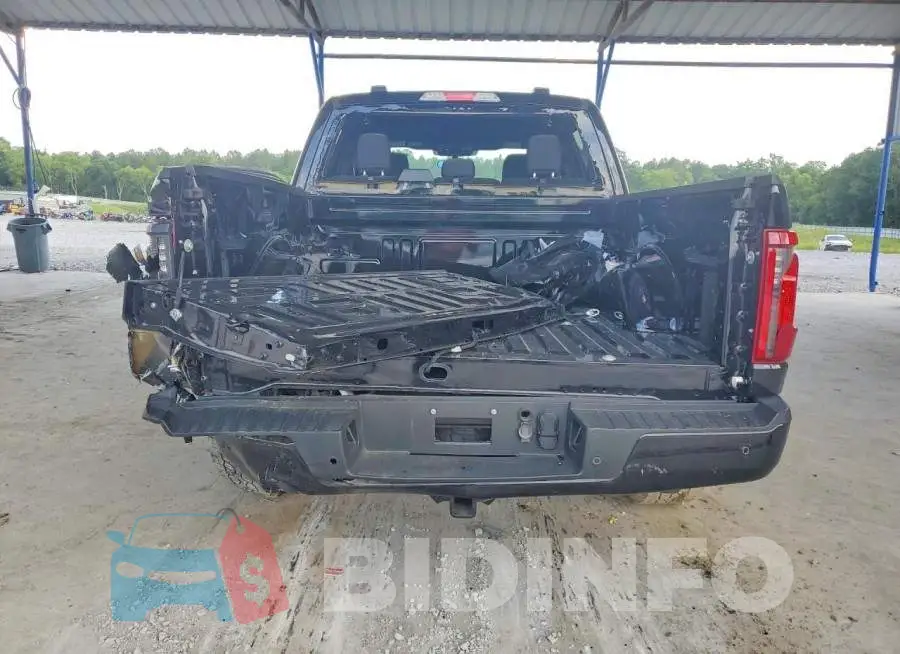 1FTEW2LP2SKD66171 Photo# 6