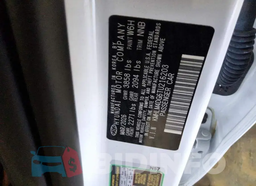 KMHLM4DG6TU216203 Photo# 12