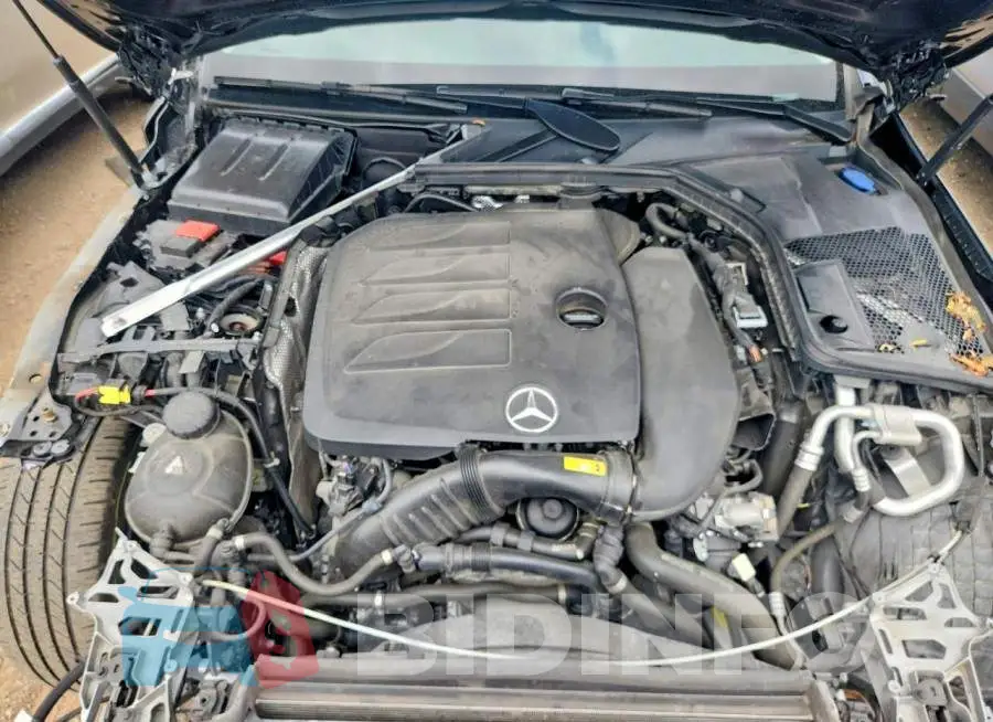 WDDWF8EB6LR550567 Photo# 11