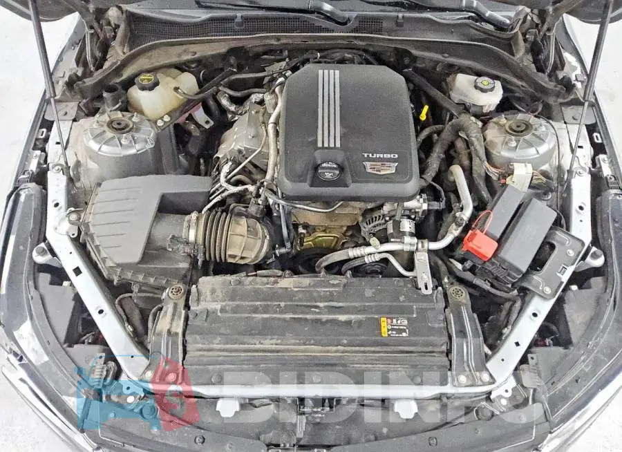 1G6DJ5RK8R0125294 Photo# 11