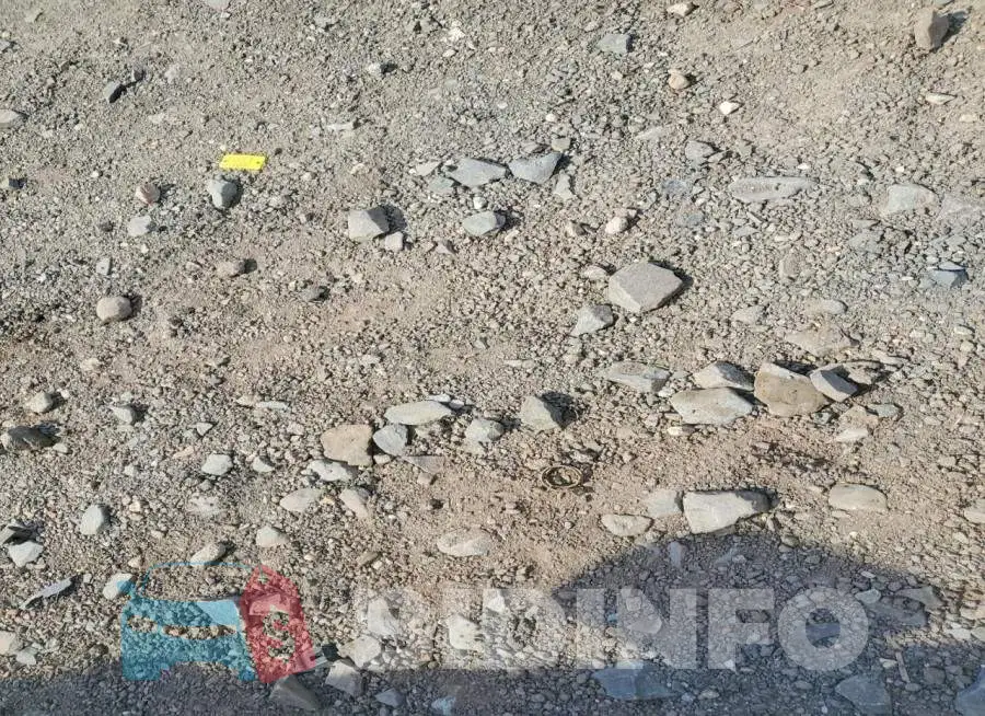 1FTER4PH9RLE42267 Photo# 12