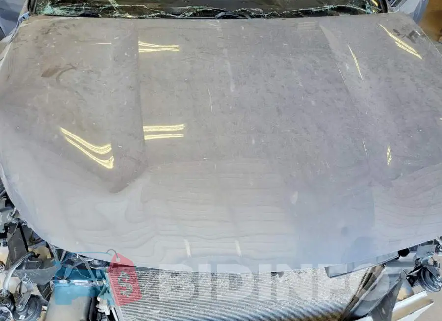 5XYRLDLC9MG024146 Photo# 12