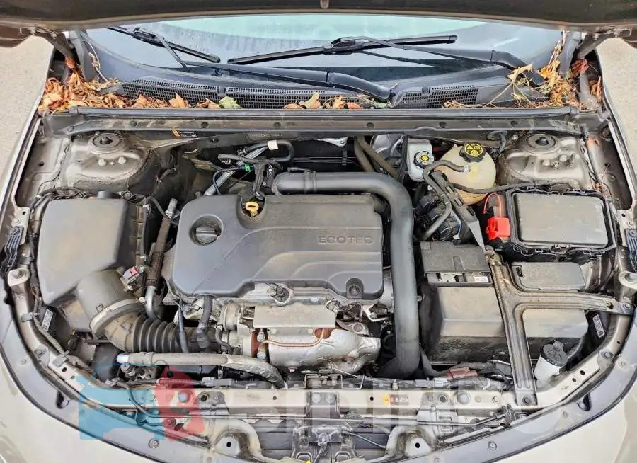 1G1ZD5ST0LF104644 Photo# 11