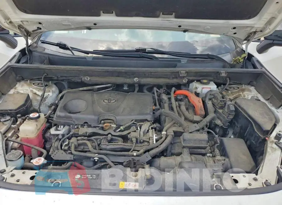 2T3EWRFV4KW034808 Photo# 11
