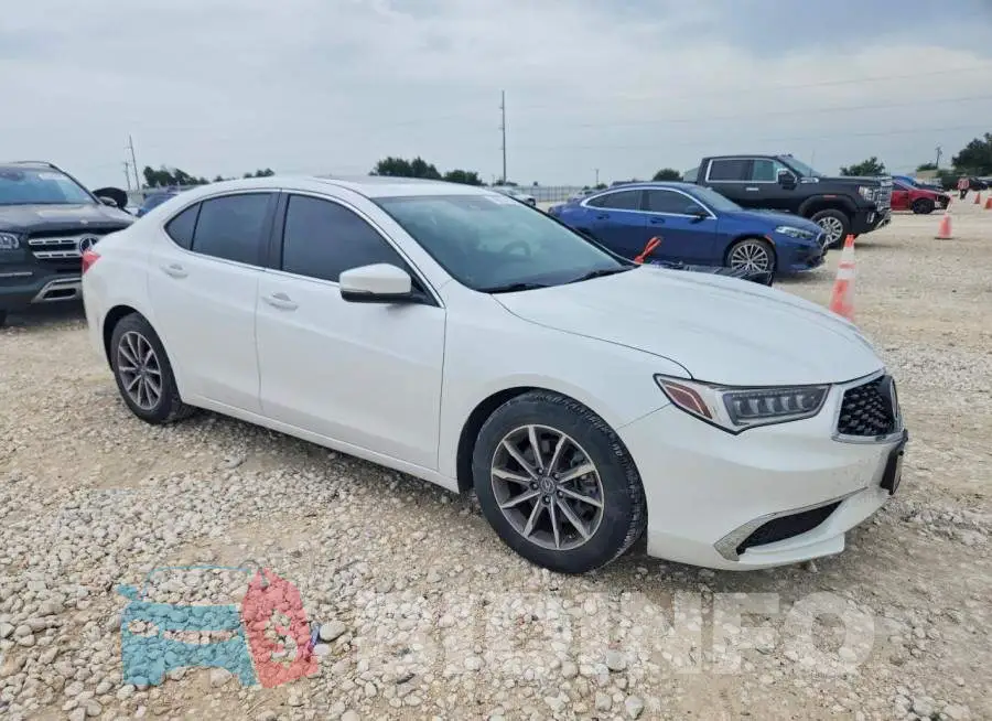 19UUB1F33KA010751 Photo# 4